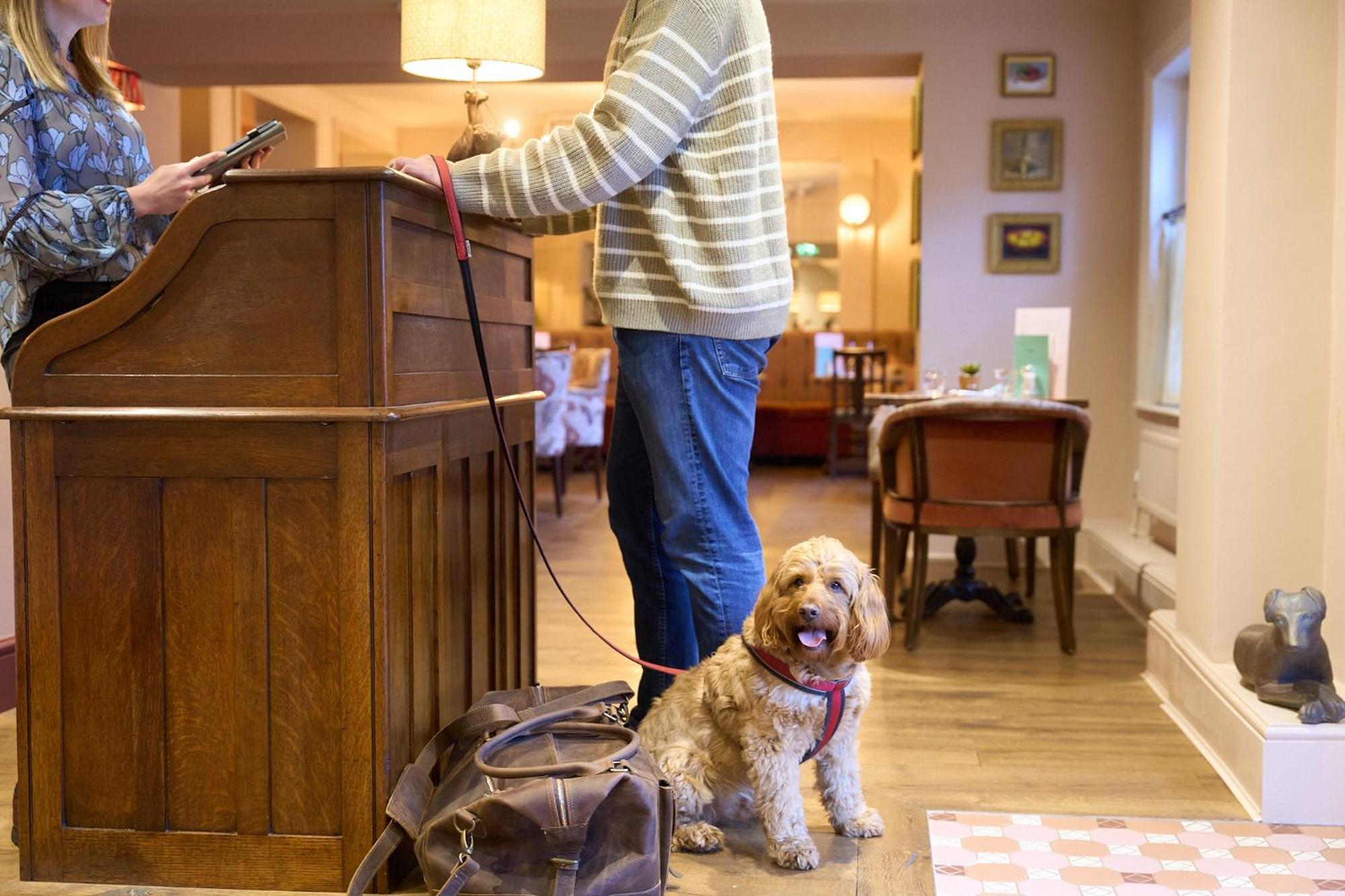 The White Horse - A Heartwood Inn Dorking Extérieur photo