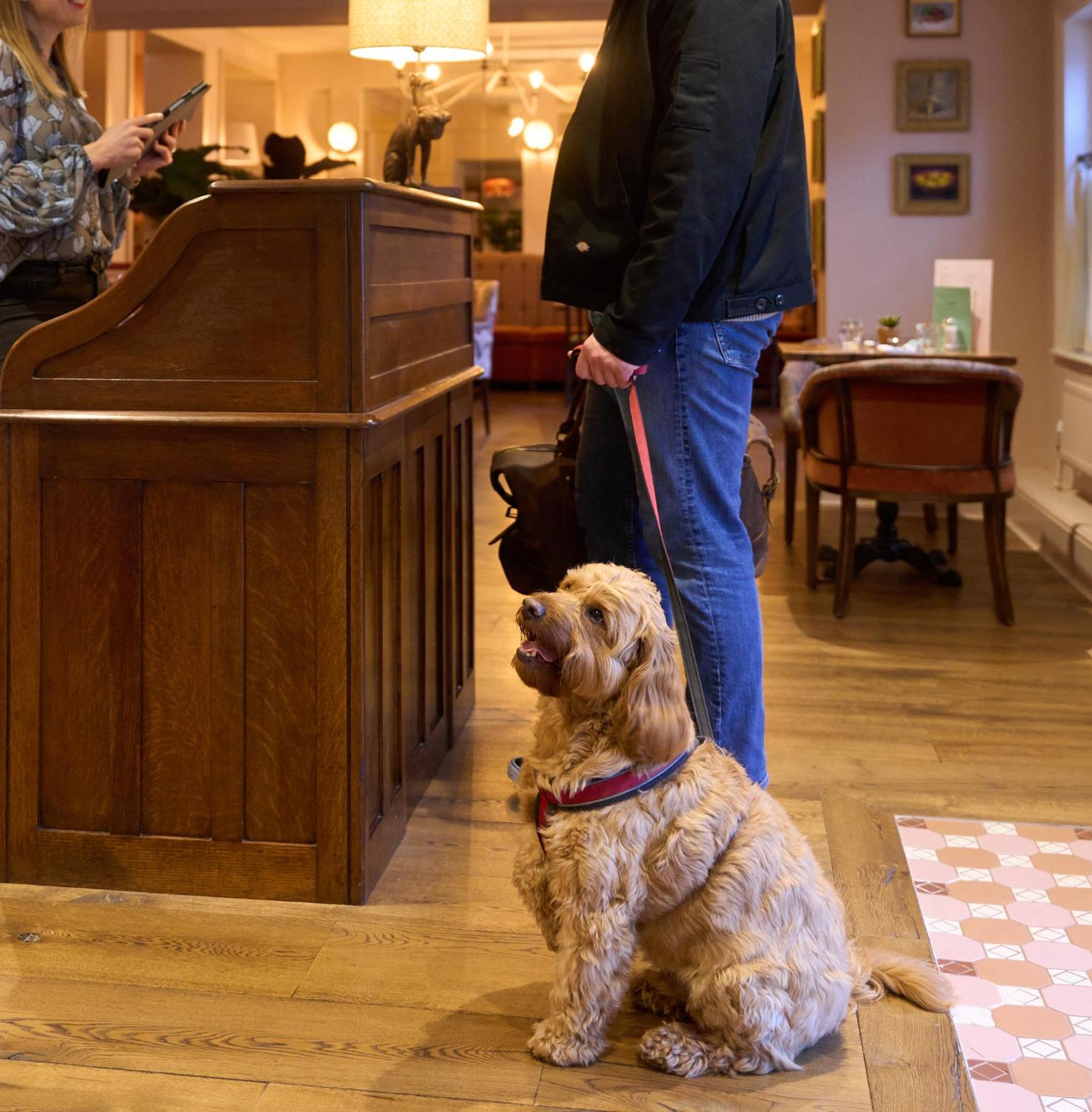 The White Horse - A Heartwood Inn Dorking Extérieur photo